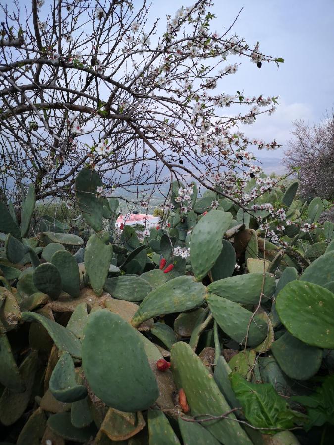 Casa Opuntia Villa Pappaygiannades Buitenkant foto