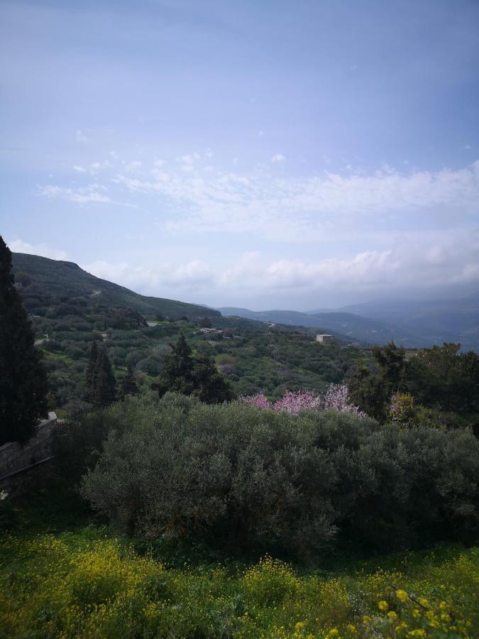 Casa Opuntia Villa Pappaygiannades Buitenkant foto