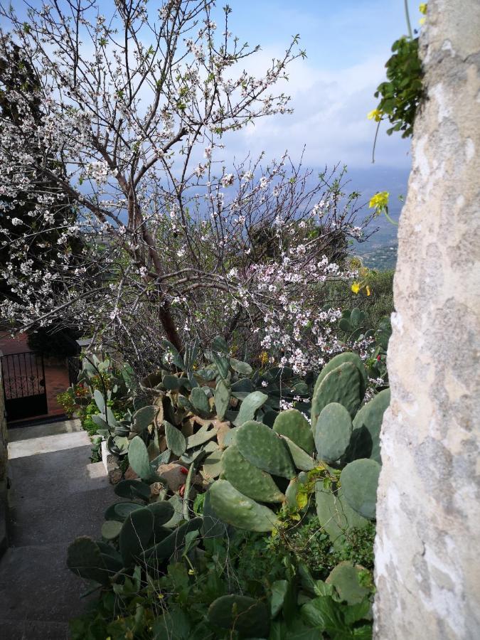 Casa Opuntia Villa Pappaygiannades Buitenkant foto