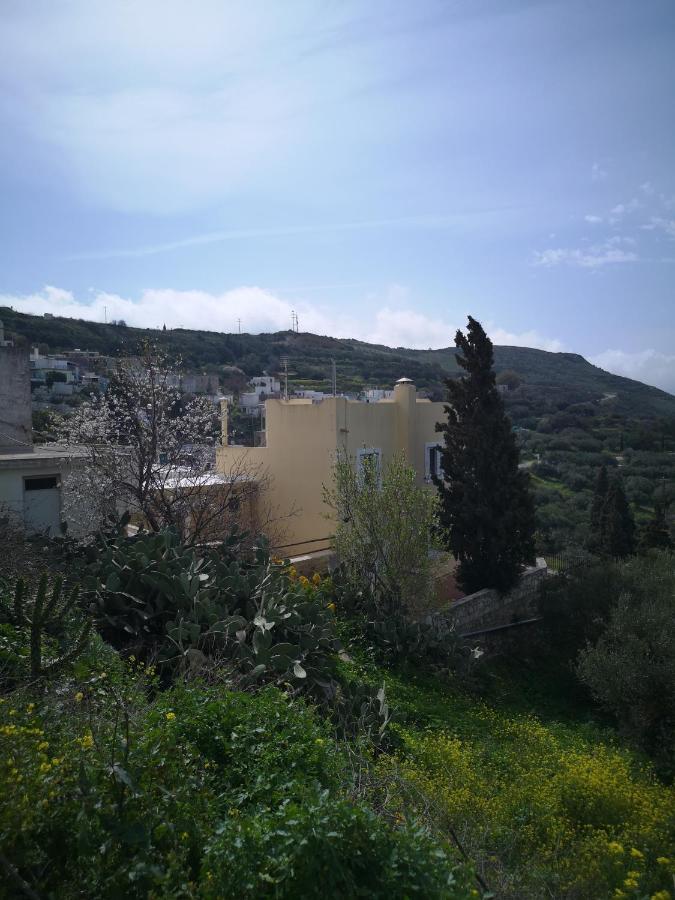 Casa Opuntia Villa Pappaygiannades Buitenkant foto