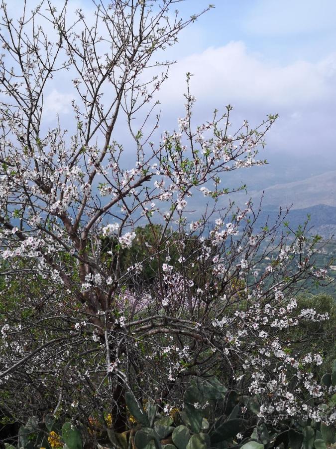 Casa Opuntia Villa Pappaygiannades Buitenkant foto